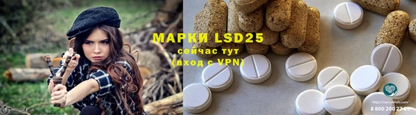 ПСИЛОЦИБИНОВЫЕ ГРИБЫ Волоколамск