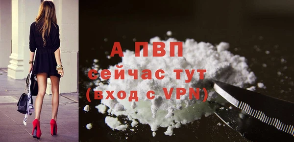 ПСИЛОЦИБИНОВЫЕ ГРИБЫ Волоколамск