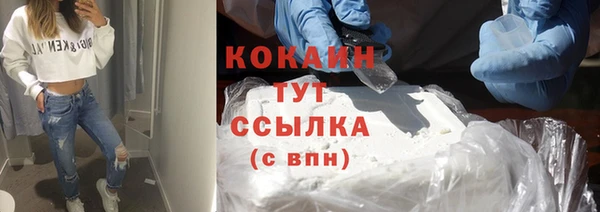 сатива Волосово