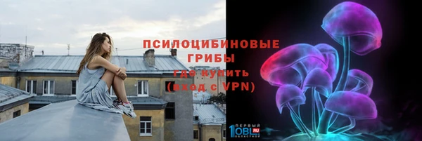 сатива Волосово