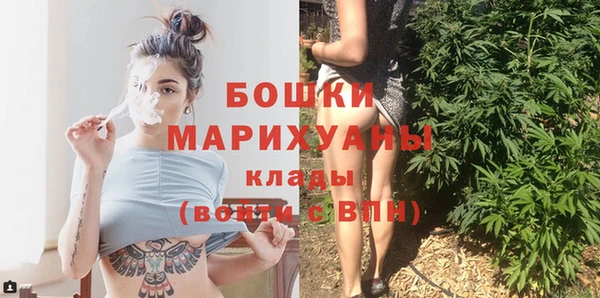 сатива Волосово