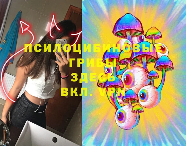 сатива Волосово