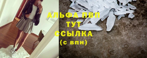 сатива Волосово