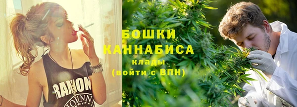 сатива Волосово