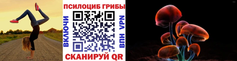 Купить закладки  Алушта  Псилоцибиновые грибы Cubensis 